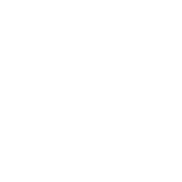 roche-icone
