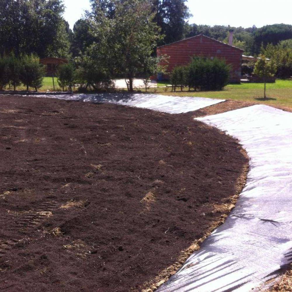 Aménagements extérieurs près de Saint-Nauphary